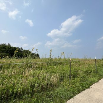 Montrose Point Bird Sanctuary - Area of sanctuary - Hiking Near Me - Chicago, Illinois Montrose Point Bird Sanctuary - Area of sanctuary - Hiking Near Me - Chicago, Illinois