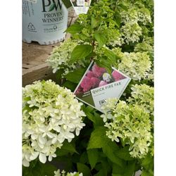 King's Gardens - Your locally owned garden center! A full service store from houseplants to BIG trees! Stroll through our greenhouses today.