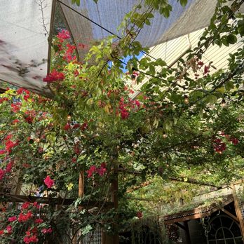 One House Bakery - Back patio area - Bakeries Near Me - Benicia, California