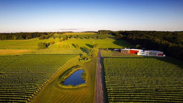 Red Tail Ridge Winery by null