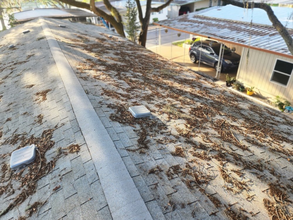 Slide of Clean 2 Preserve