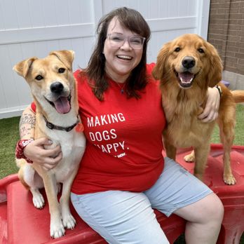 Camp Bow Wow - Pet Training Near Me - Noblesville, Indiana Camp Bow Wow - Pet Training Near Me - Noblesville, Indiana