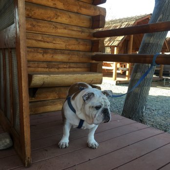 Lake Isabella / Kern River KOA - Enjoying the front patio - Campgrounds Near Me - Weldon, California Lake Isabella / Kern River KOA - Enjoying the front patio - Campgrounds Near Me - Weldon, California