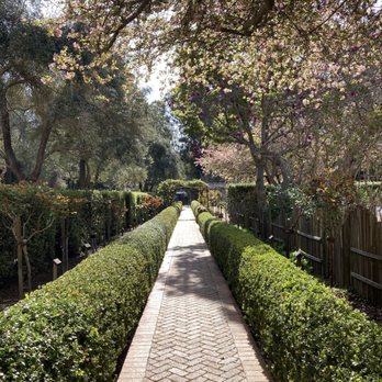 Cafe Wisteria - Cafes Near Me - Menlo Park, California