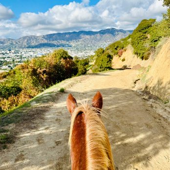 Circle K Riding Stables - Horseback Riding Near Me - Burbank, California