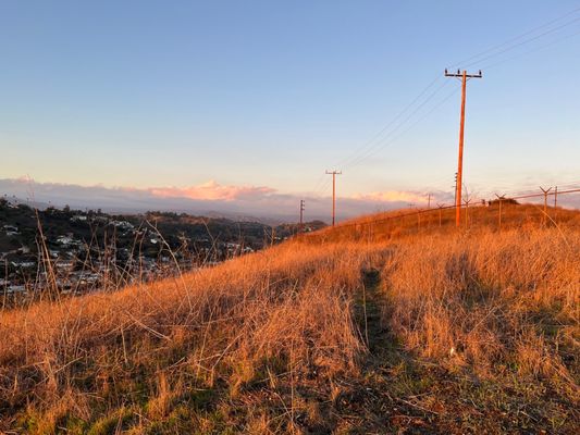 Ascot Hills Park by null
