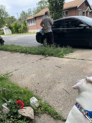 Taste of Persia by null