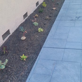 Diablo Lawnscape - a garden bed with succulents - Landscape Architects or Designers Near Me