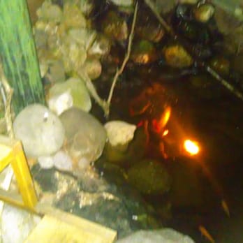 Sea Witch - Their open backyard filled with pebbles and a waterfall stream lend to the relaxed and pleasant ambience. Good pricing as well. - Lounges Near Me - Brooklyn, New York Sea Witch - Their open backyard filled with pebbles and a waterfall stream lend to the relaxed and pleasant ambience. Good pricing as well. - Lounges Near Me - Brooklyn, New York