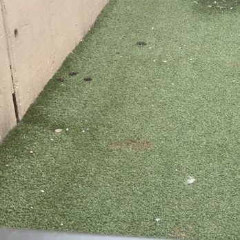 The Casey - More filth in dog run - Apartments Near Me - Denver, Colorado