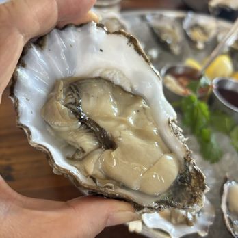 Tangaroa Fish Market - Oyster the size of my hand! - Seafood Markets Near Me - Los Angeles, California Tangaroa Fish Market - Oyster the size of my hand! - Seafood Markets Near Me - Los Angeles, California