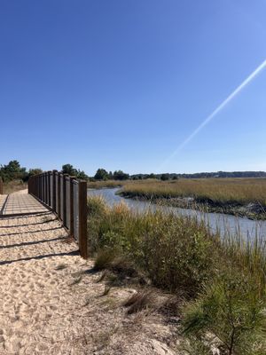 Pleasure House Point Natural Area by null