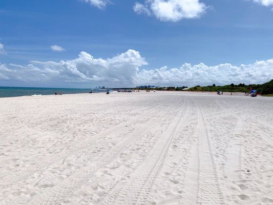 Dr. Von D. Mizell-Eula Johnson State Park by null