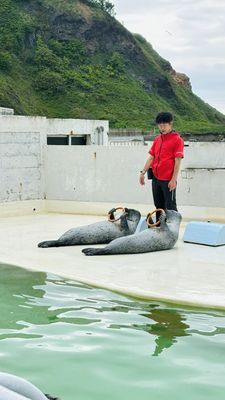 Otaru Aquarium by null