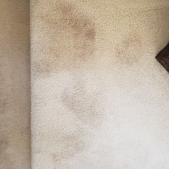 Color Spot Carpet - Carpet Dyeing Near Me