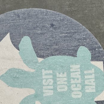 Loggerhead Marinelife Center - Cute little sign welcoming you to the Ocean Hall - Community Service/Non-Profit Near Me - Juno Beach, Florida