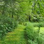 Harwinton Land Trust - Meadowview property
