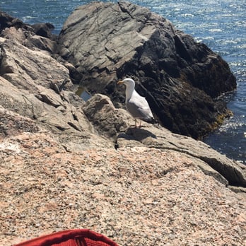 Fort Wetherill State Park - Parks Near Me - Jamestown, Rhode Island
