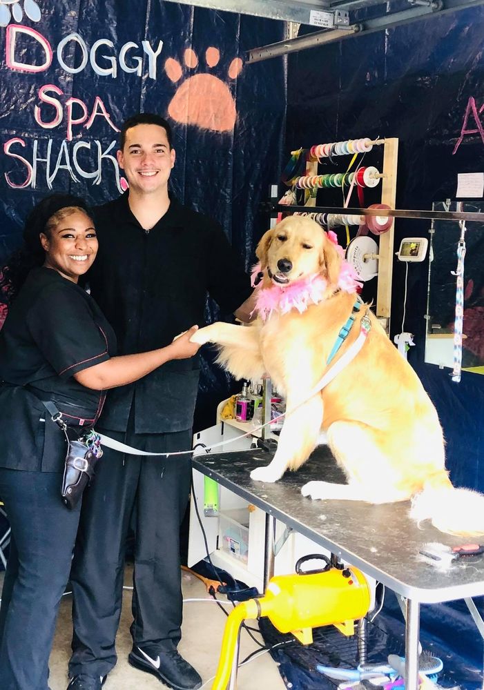 THE DOGGY SPA SHACK Request an Appointment Newport News, Virginia