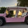 Photo of A Little Moke Rental