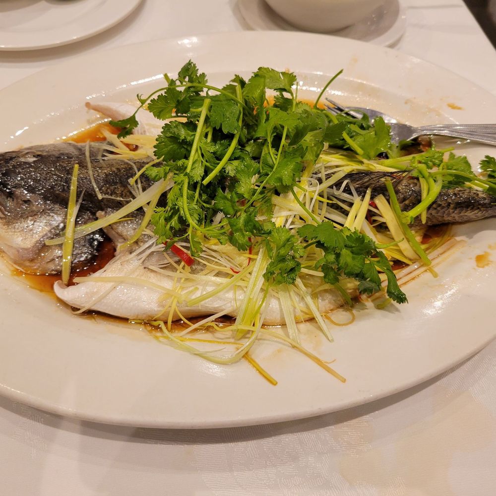 Gold Mine - Steamed Whole Sea Bass - Chinese Near Me - London, XGL