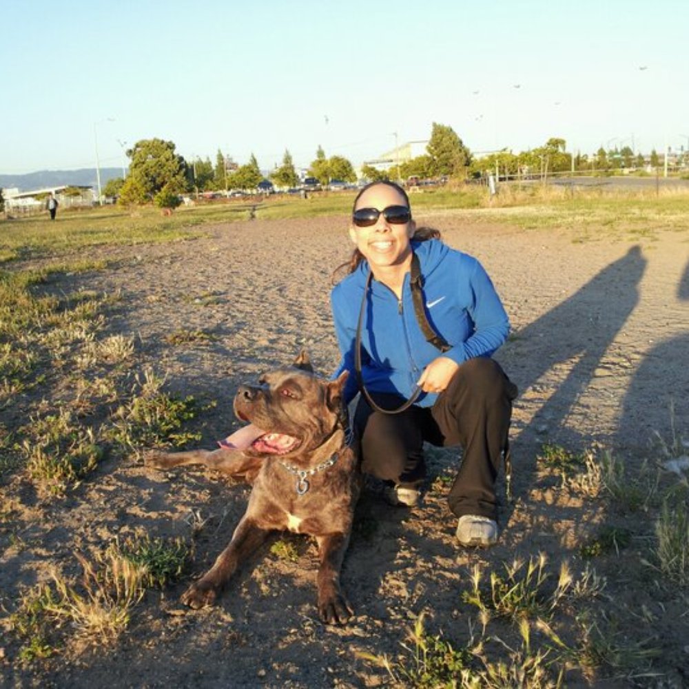 Main Street Dog Park - Dog Parks Near Me - Alameda, California Main Street Dog Park - Dog Parks Near Me - Alameda, California
