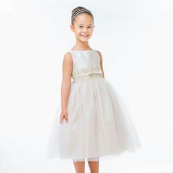Precious Petals - Satin with Metallic Lace

Colors: champagne, pink, ivory, silver or white

Sizes: 6 month up to 12