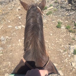 My horse - Hughie