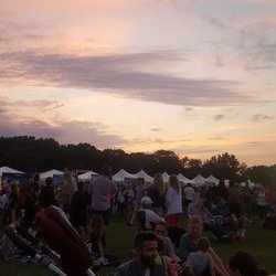 Taste of Oak Brook Festival - Amazing Scene