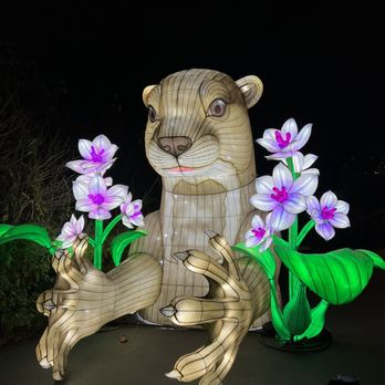 LA Zoo Lights - Zoos Near Me - Los Angeles, California LA Zoo Lights - Zoos Near Me - Los Angeles, California
