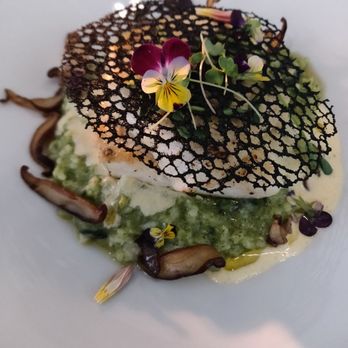 Palate Kitchen - halibut with risotto - Restaurants Near Me - Vancouver, British Columbia Palate Kitchen - halibut with risotto - Restaurants Near Me - Vancouver, British Columbia