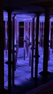 Buffalo Bayou Park Cistern by null
