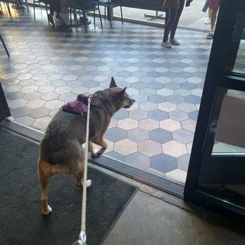 Moku Kitchen - Moku allows dogs! - Cocktail Bars Near Me - Honolulu, Hawaii Moku Kitchen - Moku allows dogs! - Cocktail Bars Near Me - Honolulu, Hawaii
