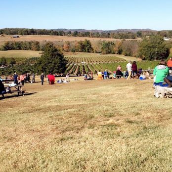 Arrington Vineyards - Wine Tasting Room Near Me - Arrington, Tennessee