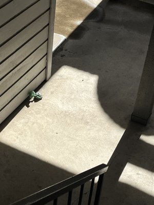 Pecan Ridge Apartments