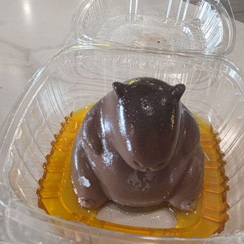 Kichi Taiyaki - Ice Cream & Frozen Yogurt Near Me - Brandon, Florida Kichi Taiyaki - Ice Cream & Frozen Yogurt Near Me - Brandon, Florida