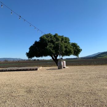 Rustique Wines - A beautiful oak - Wine Tasting Room Near Me - Salinas, California Rustique Wines - A beautiful oak - Wine Tasting Room Near Me - Salinas, California