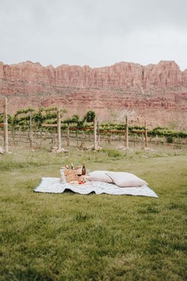 Spanish Valley Vineyard & Winery by null