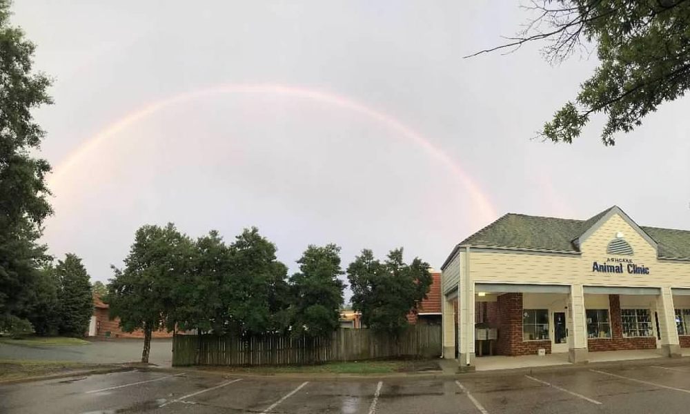 ASHCAKE ANIMAL CLINIC Updated October 2024 12 Reviews 9553 Kings