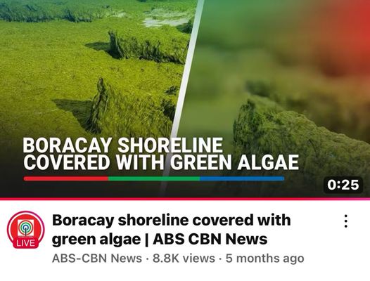 The Lind Boracay by null