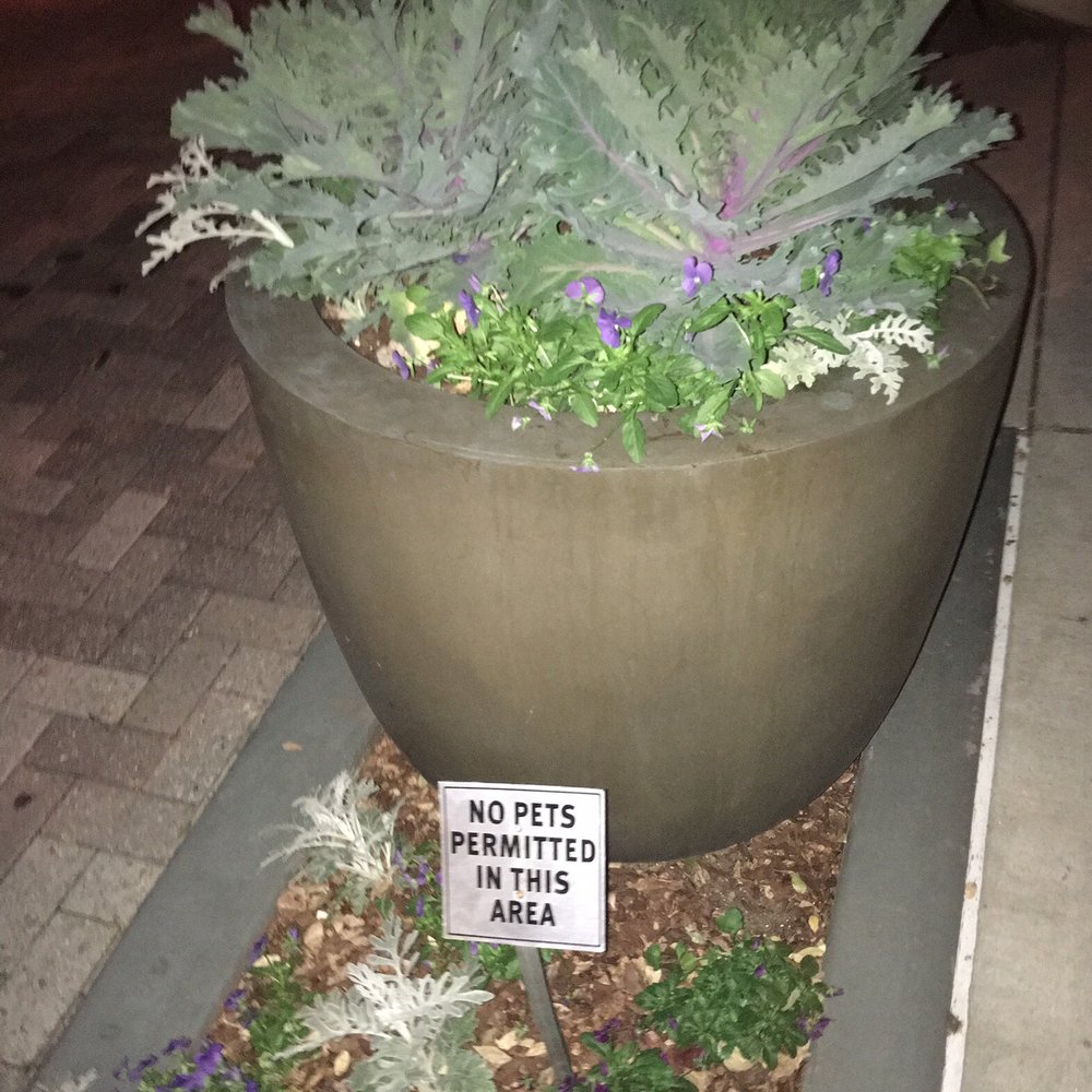 Loews Atlanta Hotel - No pets here. - Hotels Near Me - Atlanta, Georgia