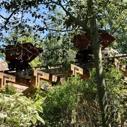 Essex County Turtle Back Zoo - Rail cars over the big cat enclosures
