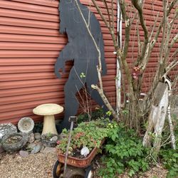 The Rosemary House