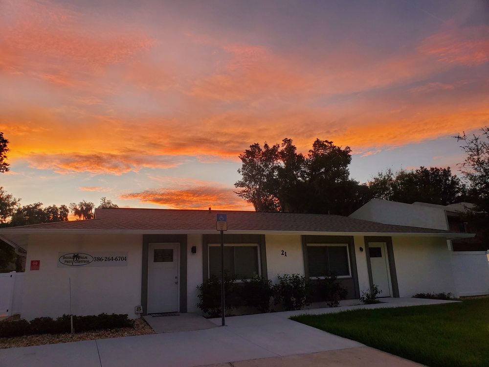 ROYAL PALM PEST CONTROL Updated August 2024 131 Photos & 26 Reviews