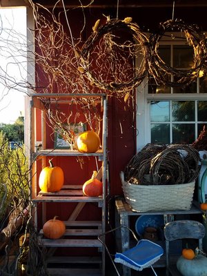 Midway Farms | Fresh Goods | Albany by null