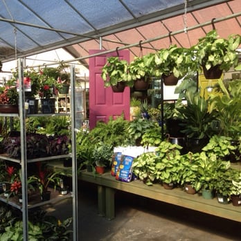 Pike Nurseries - Big outdoor section - Nurseries & Gardening Near Me - Suwanee, Georgia Pike Nurseries - Big outdoor section - Nurseries & Gardening Near Me - Suwanee, Georgia