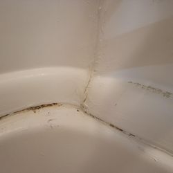 Aventine at Forest Lakes - Mold in bath bath tub, then they just paint over it and say it's not mold.