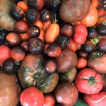 Dare 2 Dream Farms - So many varieties of tomatoes!! - Do-It-Yourself Food Near Me - Lompoc, California