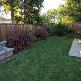 Entire backyard, pavers, grass and plants