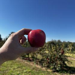 West Wind Fruit Farm